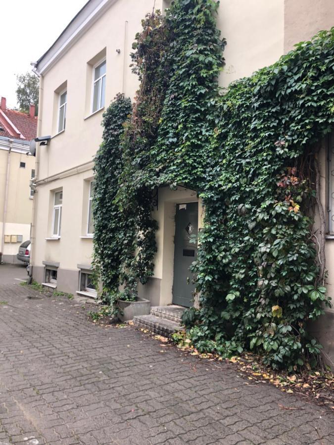 דירה Angel House Vilnius, Dysnos